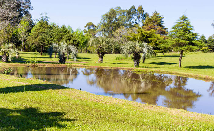 imagen de referencia a servicios